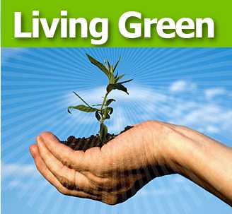 Story: Living Green