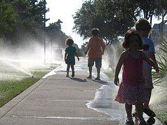 sprinklers_at_rosemary